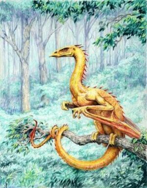 Falsche Drakes Blutwald.jpg